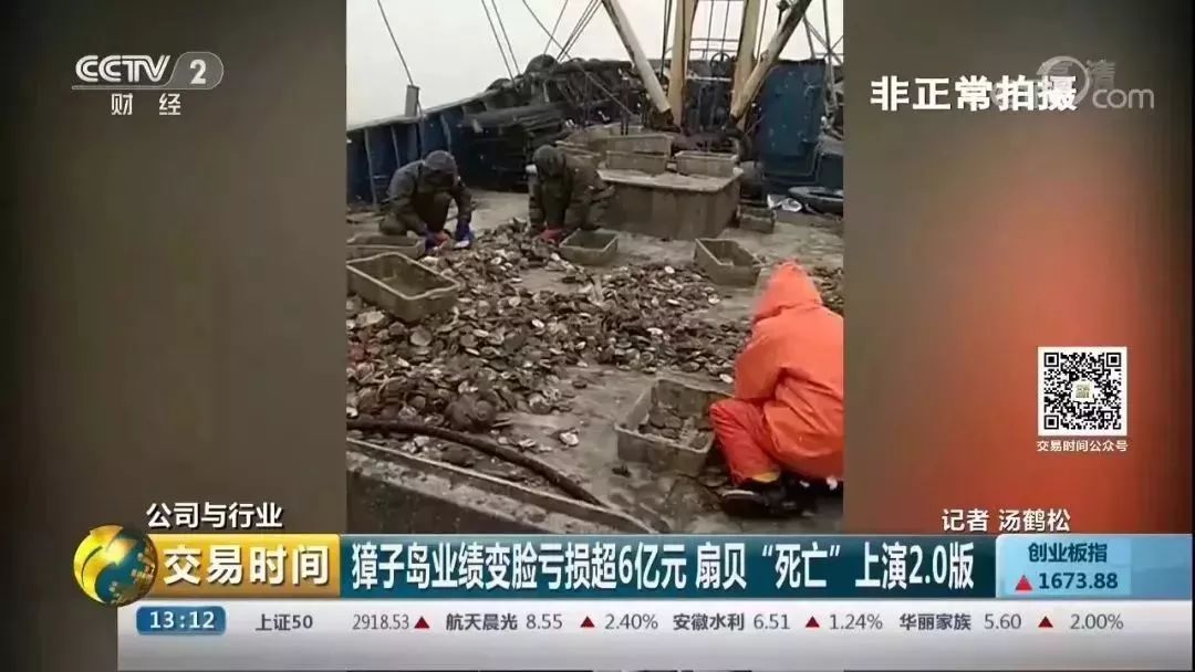 央视调查獐子岛-扇贝的死亡原因和时间点果然有蹊跷