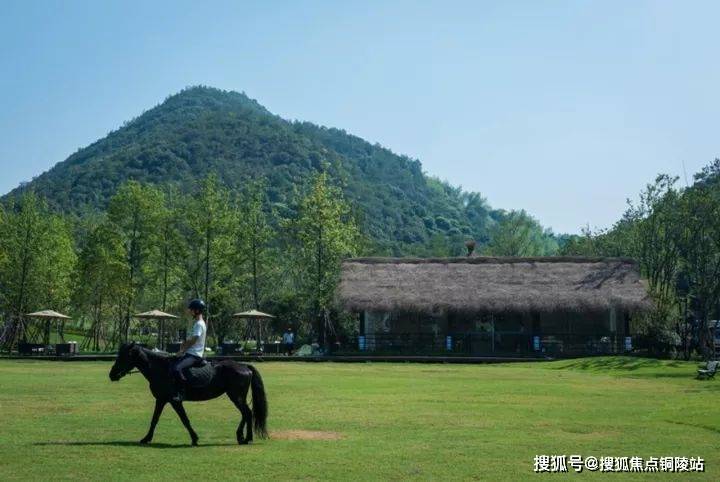 德清蓝城郡安里-莫干山郡安里售楼处-蓝城莫干山郡安里售楼处欢迎您-24H热线