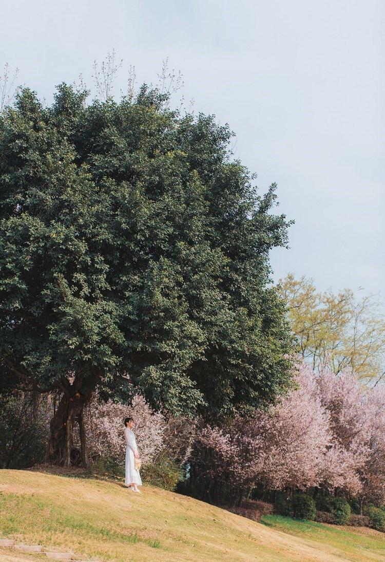 麻花辫纯净少女蕾丝薄纱长裙漫步山间唯美写真图片