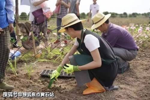 崇明岛大爱城到底好么-