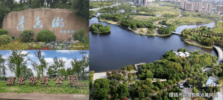 金地西郊悦章_金地西郊悦章首页网站丨金地西郊悦章楼盘概况-地铁距离