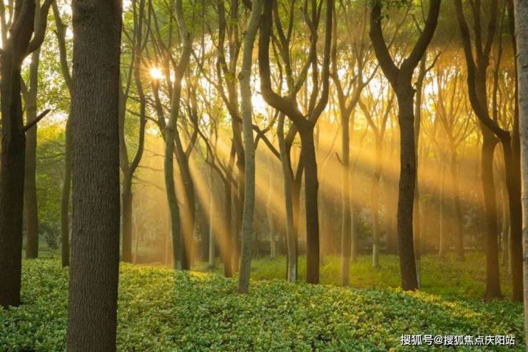 东滩花园丨上海(东滩花园)东滩花园欢迎您丨东滩花园丨楼盘详情-价格-户型_0