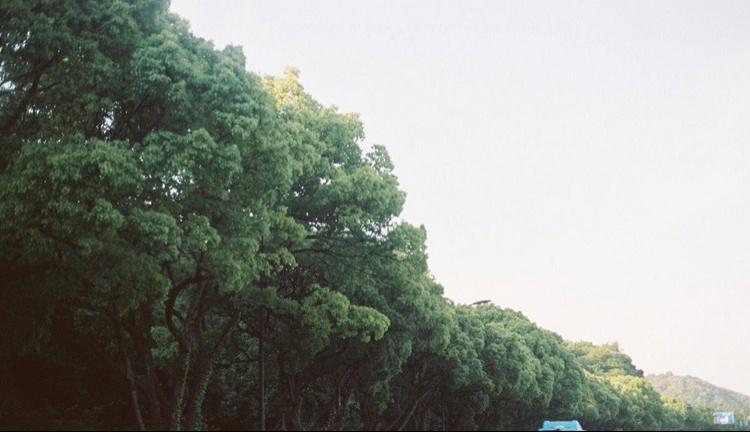 貌美如花的倾城美女雾气氤氲写真