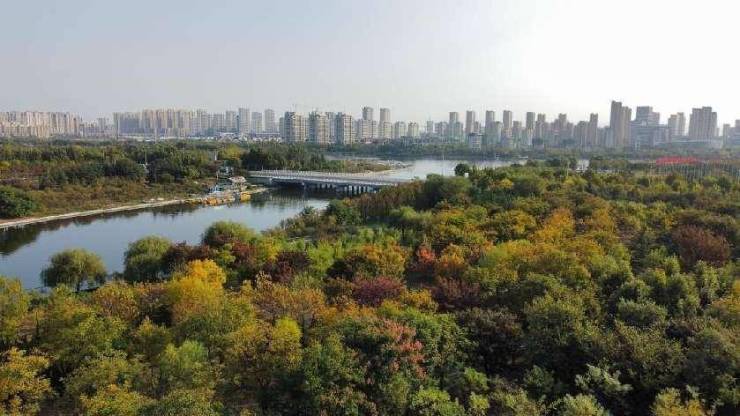 谁人能有此风景 - 楼下的诗意大草坪 我家的野趣露营场