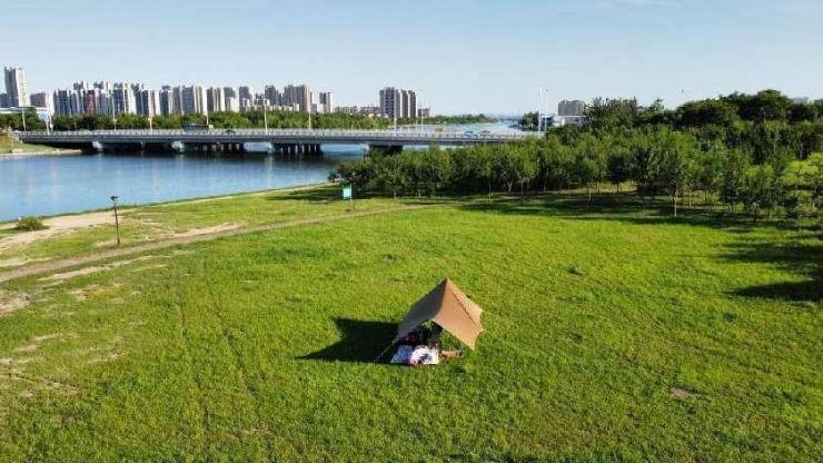 谁人能有此风景 - 楼下的诗意大草坪 我家的野趣露营场