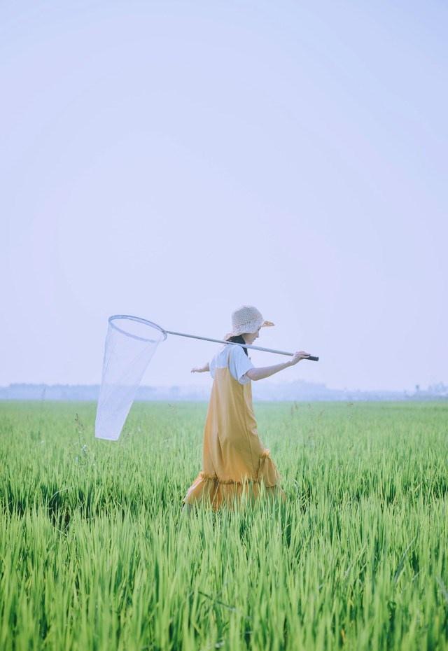 夏末清凉黄裙子女生田野抓虫记写真图片