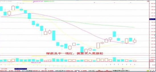 一位资深老股民自述：为什么大部分散户倾向于短线操作，这是我看过含金量最高的一篇文章