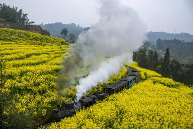 如何认识旅游的多重性和多重价值？