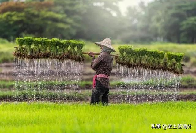 柬埔寨是一个什么样的国家，带你了解真实的柬埔寨现状