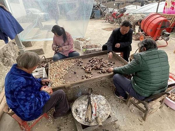 商洛驻村第一书记马泽平：让梦想在乡村振兴的路上腾飞