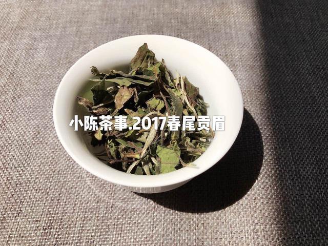 白茶家族揭秘，教你4个方面分辨白茶和安吉白茶的区别，值得一看