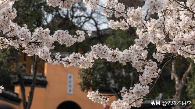 南朝四百八十寺之首寺，祈福许愿求姻缘都很灵验，就在南京市区内