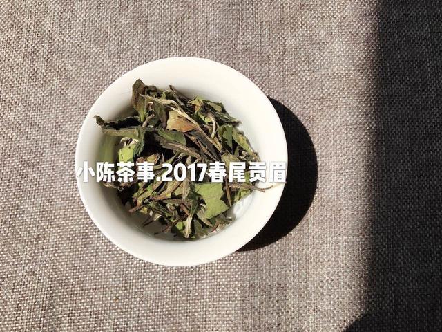 白茶家族揭秘，教你4个方面分辨白茶和安吉白茶的区别，值得一看