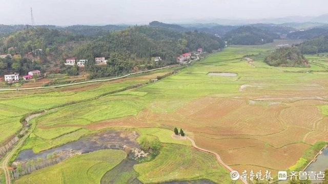 访马英九祖辈生息地：湘江畔的平静小镇，油菜花开得正旺