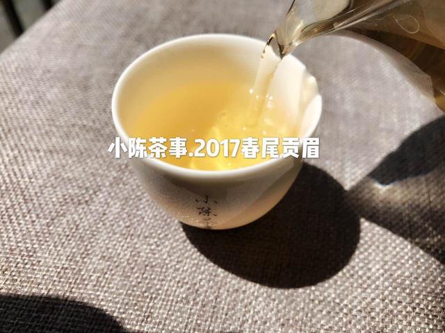 白茶家族揭秘，教你4个方面分辨白茶和安吉白茶的区别，值得一看