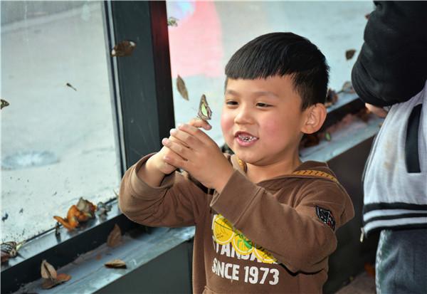 “沉浸式体验 互动式游玩”昆虫小博士成长记