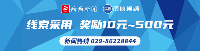 商洛驻村第一书记马泽平：让梦想在乡村振兴的路上腾飞