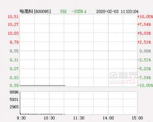 哈高科股票(快讯：哈高科跌停 报于86元)