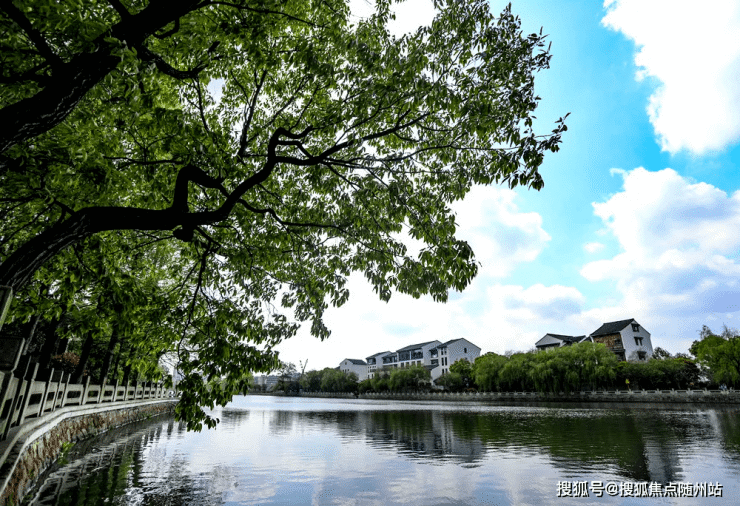 中豪桃源时代丨杭州(桃源商务中心)中豪桃源时代欢迎您丨楼盘详情 -价格 -户型