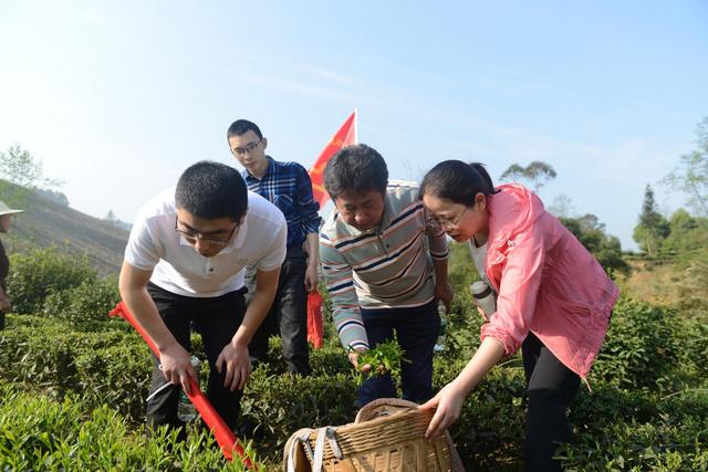 荣县：乡村振兴主战场处处有人才