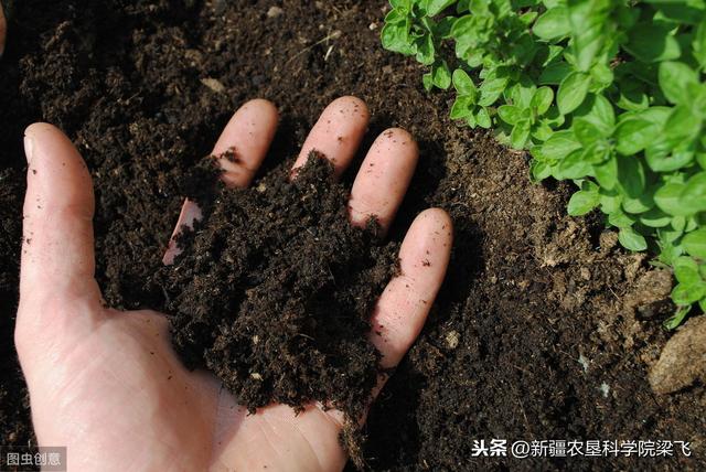 有机碳肥到底鸡肋还是商业宣传？科学认识土壤有机碳和无机碳