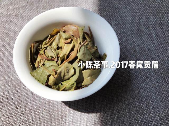 白茶家族揭秘，教你4个方面分辨白茶和安吉白茶的区别，值得一看