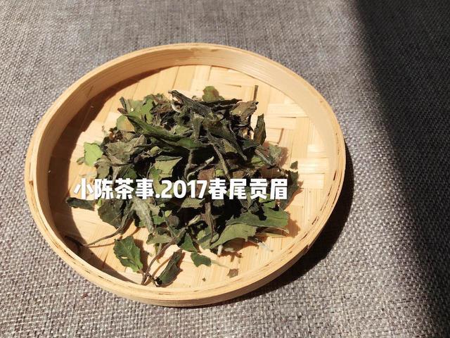 白茶家族揭秘，教你4个方面分辨白茶和安吉白茶的区别，值得一看