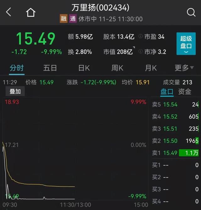 懵了！5倍大牛股突发黑天鹅，20%闪崩跌停！2500亿巨头涨停，特高压、半导体大爆发！又有地产债暴跌30%熔断，杀猪盘又跌停