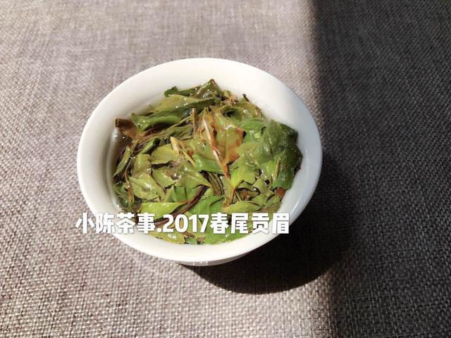 白茶家族揭秘，教你4个方面分辨白茶和安吉白茶的区别，值得一看