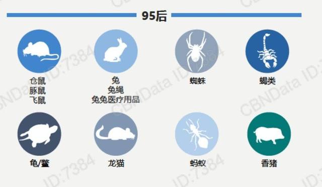 “Z世代”的钱和时间都花在了什么地方？