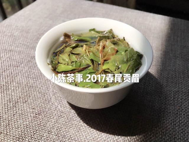 白茶家族揭秘，教你4个方面分辨白茶和安吉白茶的区别，值得一看