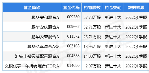 5月24日DR神驰机跌6.06%，鹏华安和混合A基金重仓该股