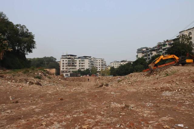 广安区“一品天下”特色商业街项目开工建设