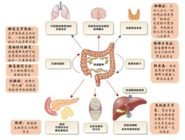 微生态制剂CDMO技术拓展，耀海生物服务更上一层