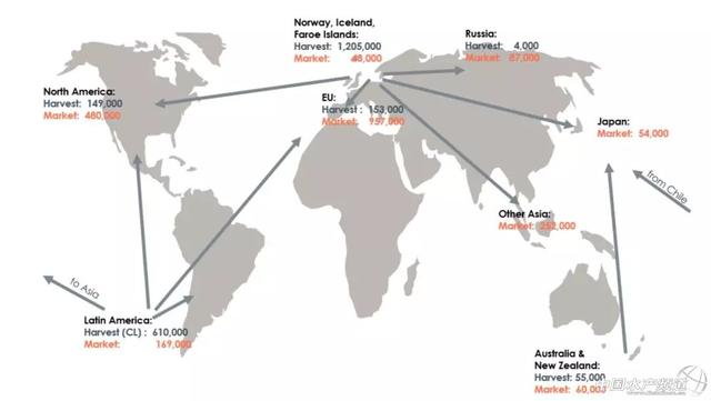 盘点全球三文鱼十大养殖、生产商