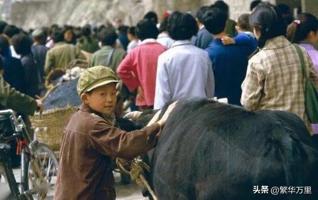 商丘市的区划调整，河南省的第7大城市，为何有9个区县？