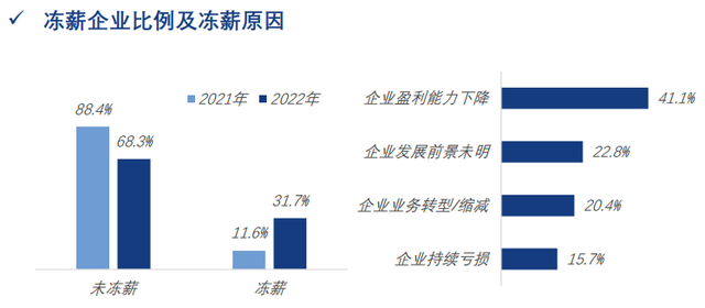 《2022年度薪酬调研报告》