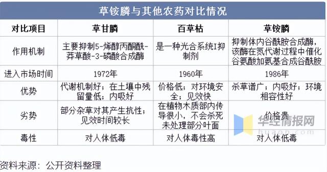 个股分析：和邦生物