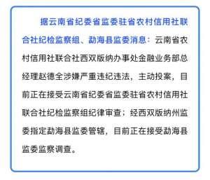 业务部(主动投案，云南省农村信用社联合社西双版纳办事处金融业务部总经理赵德全被查)