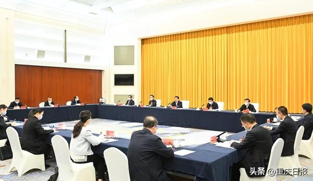 重庆代表团审议全国人大常委会工作报告 袁家军胡衡华王炯张轩参加