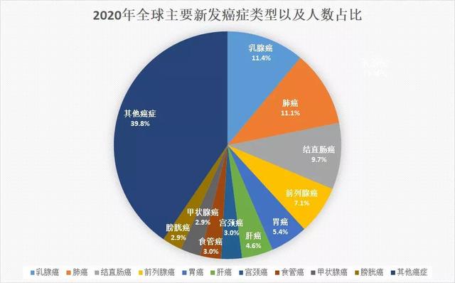 这种人类最常见癌症的疫苗正在路上……