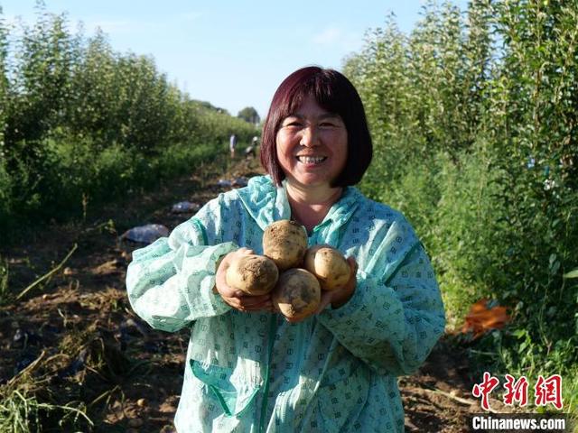 特色种植富村靓庄 内蒙古开鲁绘就村美民富幸福画卷