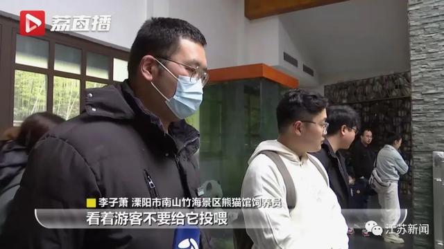 近300人投简历，无一人合适！想做它的“铲屎官”，为啥这么难？