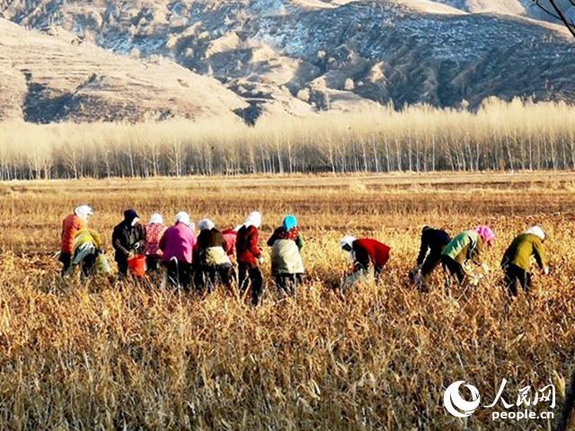 习近平两会上点赞过的追梦人——赵会杰：“感谢好时代，过去梦都不敢梦的都实现了”