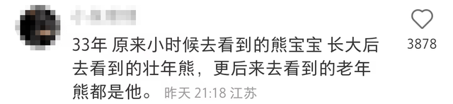 “老马走了”，在红山森林动物园熊馆后场自然离世