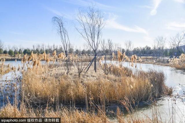 去京城这4个宝藏公园欣赏冬日美景，各有特色