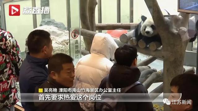 近300人投简历，无一人合适！想做它的“铲屎官”，为啥这么难？