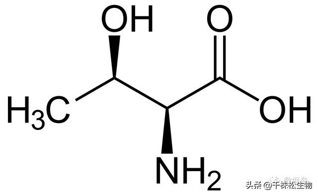 20种常见氨基酸——苏氨酸