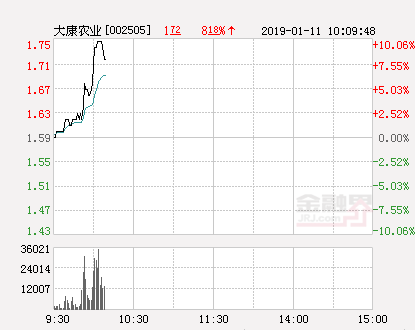 快讯：大康农业涨停 报于1.75元