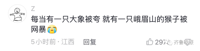 山东一“热心”大象火了！帮小孩捡拖鞋还不忘搓泥，峨眉山的猴：勿cue